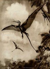 220px-Rhamphorhynchus.jpg, 18 KB