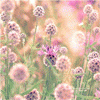 db7625f8309faae688cb3adc91826138.gif, 11 KB