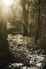 _MG_3968005.jpg, 46 KB