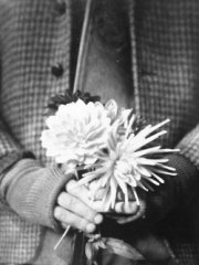tumblr_m2p08igy9t1qje0eqo1_250_large.jpg, 21 KB